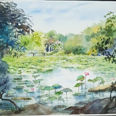 Kingfisher Wetlands, Garden By The Bay 濱海花園翠鳥濕地 