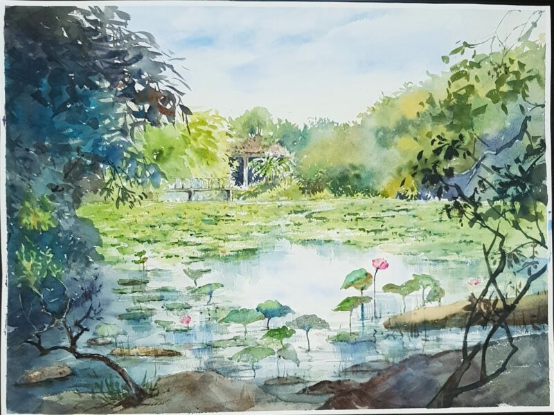 Kingfisher Wetlands, Garden By The Bay 濱海花園翠鳥濕地