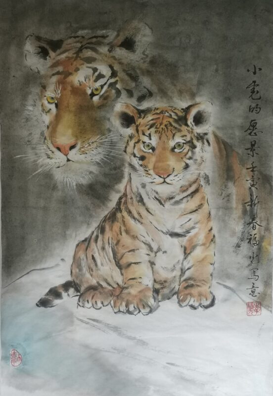 Tiger Vision	小虎的愿景