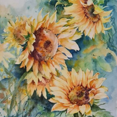Sunflowers bloom free 