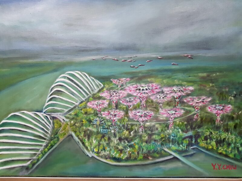 Garden by the Bay – Singapore 滨海湾花园 – 新加坡